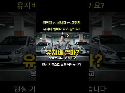 아반떼 쏘나타 그랜저 자동차 유지비 비교: 월 지출 차이 완벽 분석