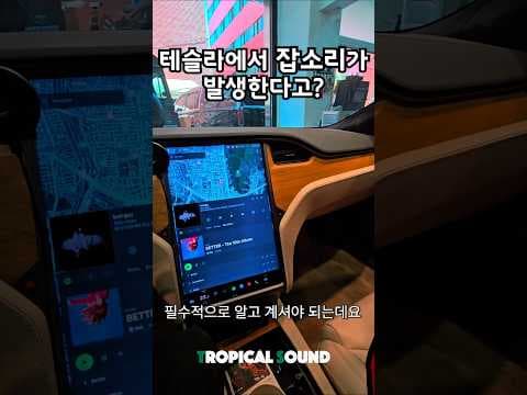 테슬라 자동차 도어 잡소리 해결 방법! 원인부터 방진 작업까지