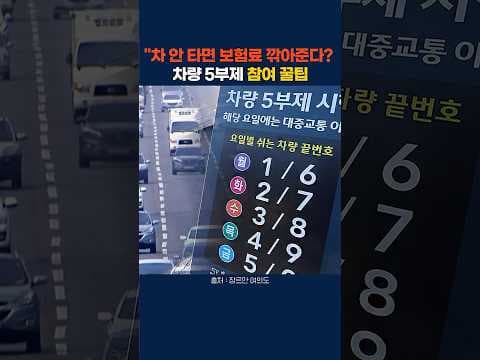 자동차 5부제 보험료 할인! 꼭 알아야 할 주의사항