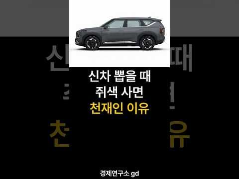 자동차 신차 구매, 쥐색 선택하면 후회 없는 이유!