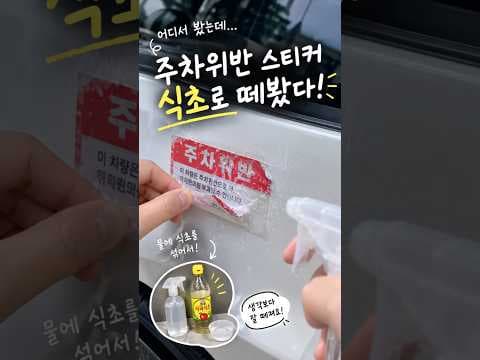 자동차 주차위반스티커제거 식초활용법으로 깔끔하게 해결하는 꿀팁
