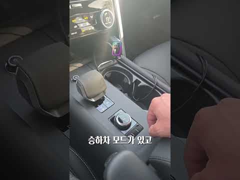 랜드로버 디스커버리5 P300 가솔린, 실제 오너가 말하는 단점