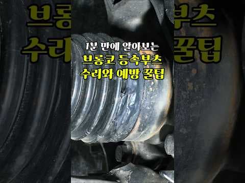 브롱코 자동차 하체 정비: 등속 조인트 부츠 교환으로 누유 예방!