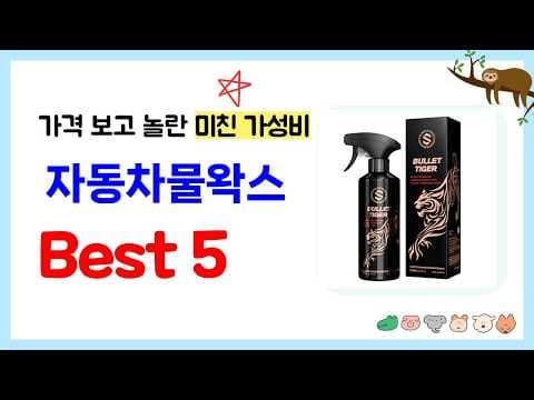2026년 자동차 물왁스 추천 제품 5가지와 함께하는 관리 팁