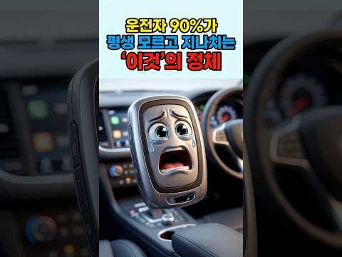 2024년 알아두면 돈 버는 자동차 숨겨진 기능 & 안전 꿀팁