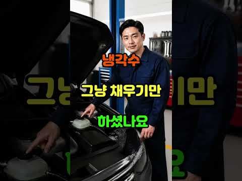 "냉각수 그냥 부으면 끝?"… 베테랑 운전자도 놓치는 진실#자동차관리 #냉각수보충 #엔진수명 #시니어드라이브 #차량점검 #안전운전 #자동차상식 #현명한운전자 #엔진오염 #차량유지비