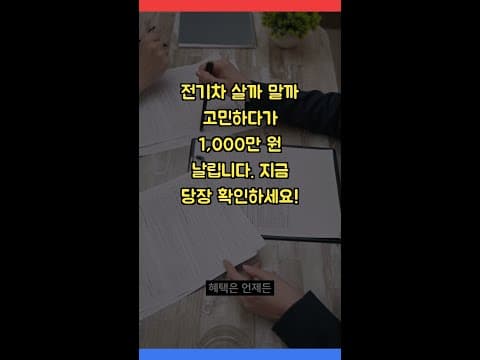 2024 전기 자동차 보조금 변화 분석! 지금 구매하면 손해?