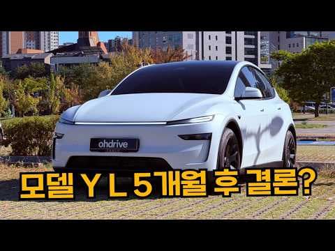 테슬라 모델Y 5개월 타보고 느낀 솔직한 장단점과 자동차 유지비 분석