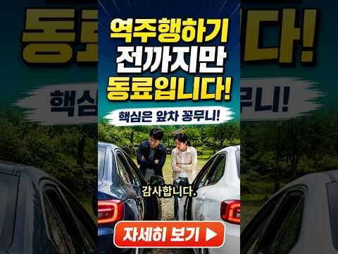 운전대 위치에 따른 운전 경험 차이, 자동차 문화 엿보기