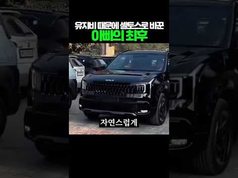 셀토스 자동차 후기: 유지비 줄이고 라이프스타일 변화 직접 경험했어요