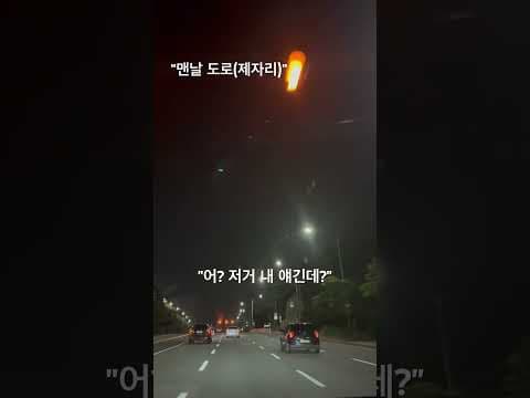 내면의 힘을 키우는 자동차 운전 꿀팁: 안전 가이드