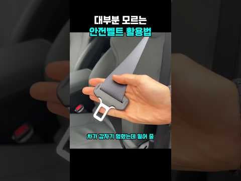 자동차 안전벨트 활용법: 긴급 상황 대처, 이제 걱정 없어요!
