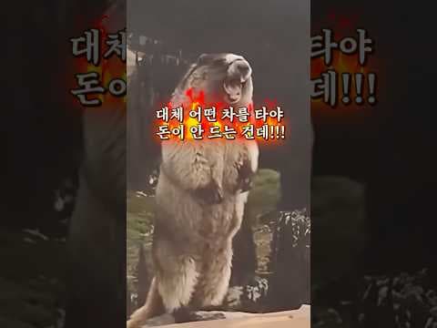 자동차 유지비 비교: 전기차 vs 하이브리드 vs 내연기관, 뭐가 더 이득?