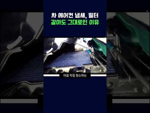 자동차 에어컨 냄새 원인 이거였네요? 에바크리닝으로 시원한 관리