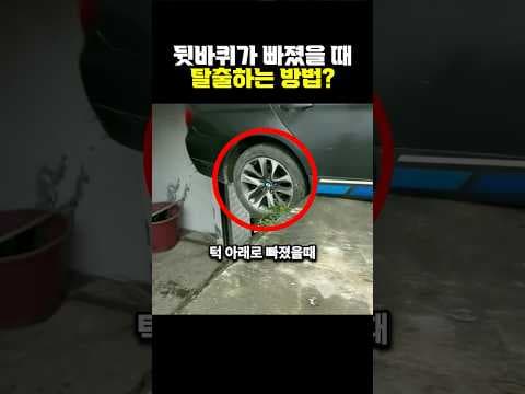 자동차 뒷바퀴 빠짐 시 밧줄 하나로 안전하게 탈출하는 방법