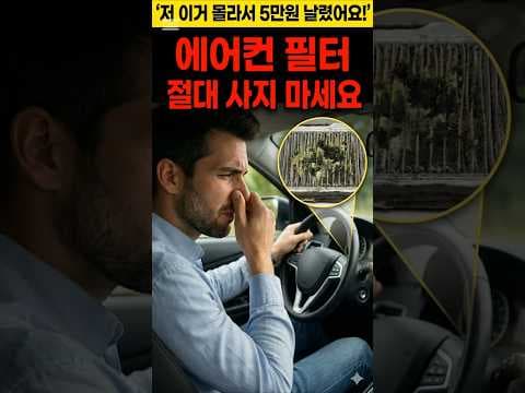 자동차 에어컨 냄새 원인과 해결법! 곰팡이 제거, 송풍 건조가 답