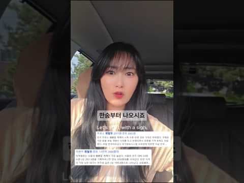 2024년 국산 자동차 연비왕! 중고 하이브리드 TOP5 추천