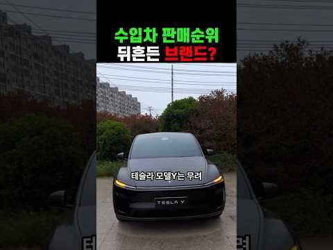 테슬라 모델 Y 1위 등극 수입차 판매순위 판도 변화 분석 자동차 이야기