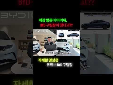 BYD 씰 RWD vs AWD 자동차 가격 비교! 나에게 맞는 모델은?