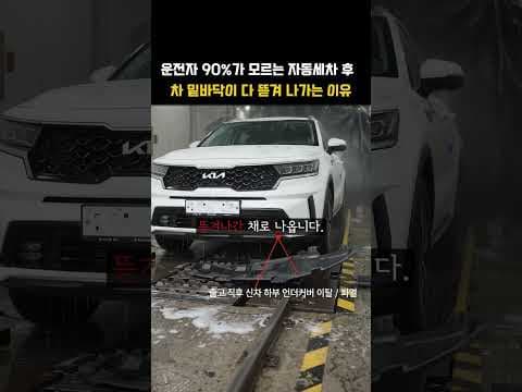 운전자 90%가 모르는 자동세차법  #초보운전 #자동차공학 #자동차