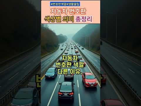 자동차 번호판 색깔별 의미와 구분: 흰색, 노란색, 파란색, 연두색?
