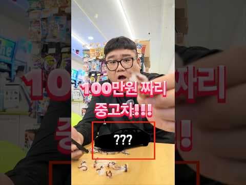 300만원부터! 예산별 가성비 좋은 중고차 추천 [자동차]