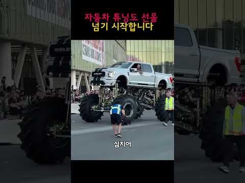 개성 폭발! 독특한 자동차 튜닝 BEST 5 디자인
