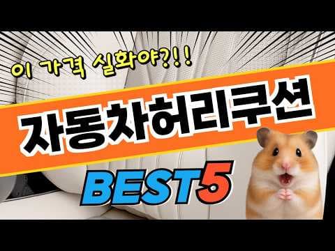6년 연속 1위! 자동차 허리 쿠션 써보니: 내돈내산 후기