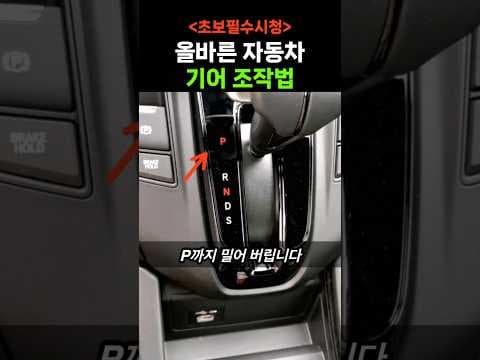 초보 운전자 필수! 안전한 자동차 기어 조작법 완벽 가이드