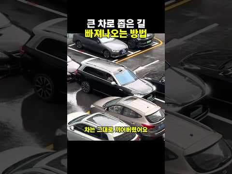 초보운전 탈출: 좁은 길 자동차 후진, 핸들 조작 꿀팁 마스터