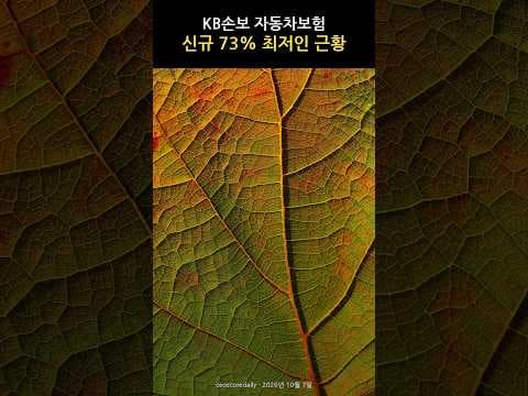 2026년 자동차보험 신규 가입자와 고위험군 요율 비교