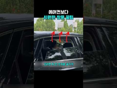 자동차 냄새 제거, 쾌적한 운전을 위한 창문 열기 꿀팁
