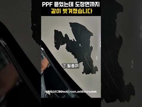 PPF 제거 중 도색 불량? 재도색 자동차의 숨겨진 문제점