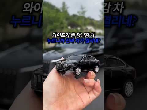 신차 출고 감동 2배! 자동차 모양 스마트키 케이스 이건 진짜 사야 해요