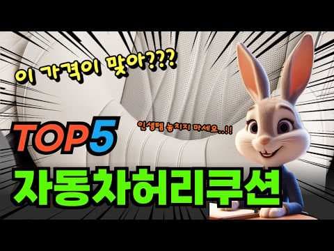 자동차 허리쿠션 추천 순위 BEST 5 편안한 운전 돕는 차량 용품