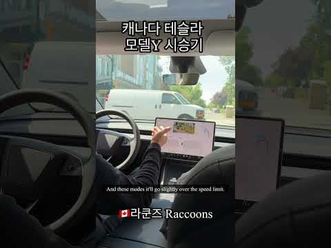 테슬라 자동차 주행 모드 완전 분석! 지능형 기능과 전기차 성능의 비결
